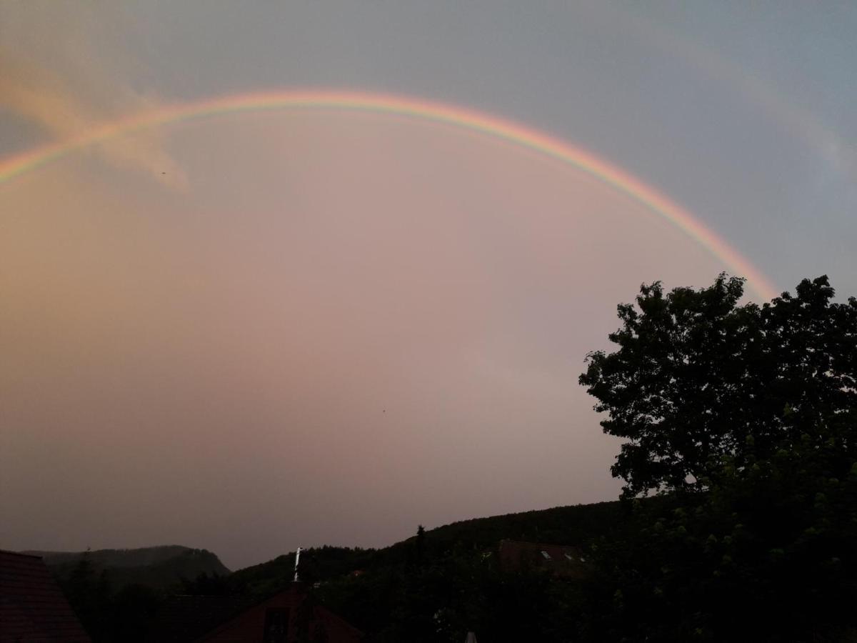 Elfenhaeuschen Mit 3 Dtv Sternen Ausgezeichnet Villa Bad Harzburg Exterior foto