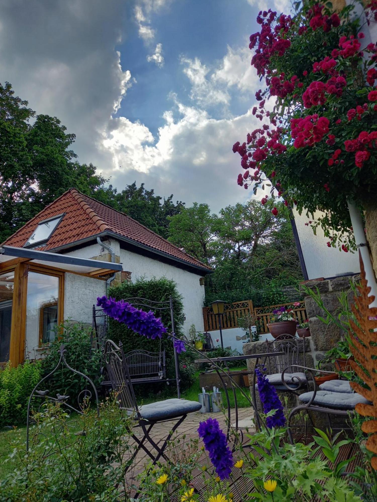 Elfenhaeuschen Mit 3 Dtv Sternen Ausgezeichnet Villa Bad Harzburg Exterior foto