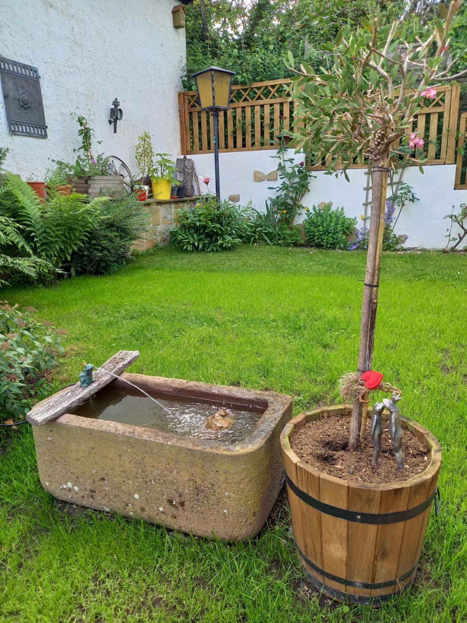 Elfenhaeuschen Mit 3 Dtv Sternen Ausgezeichnet Villa Bad Harzburg Exterior foto