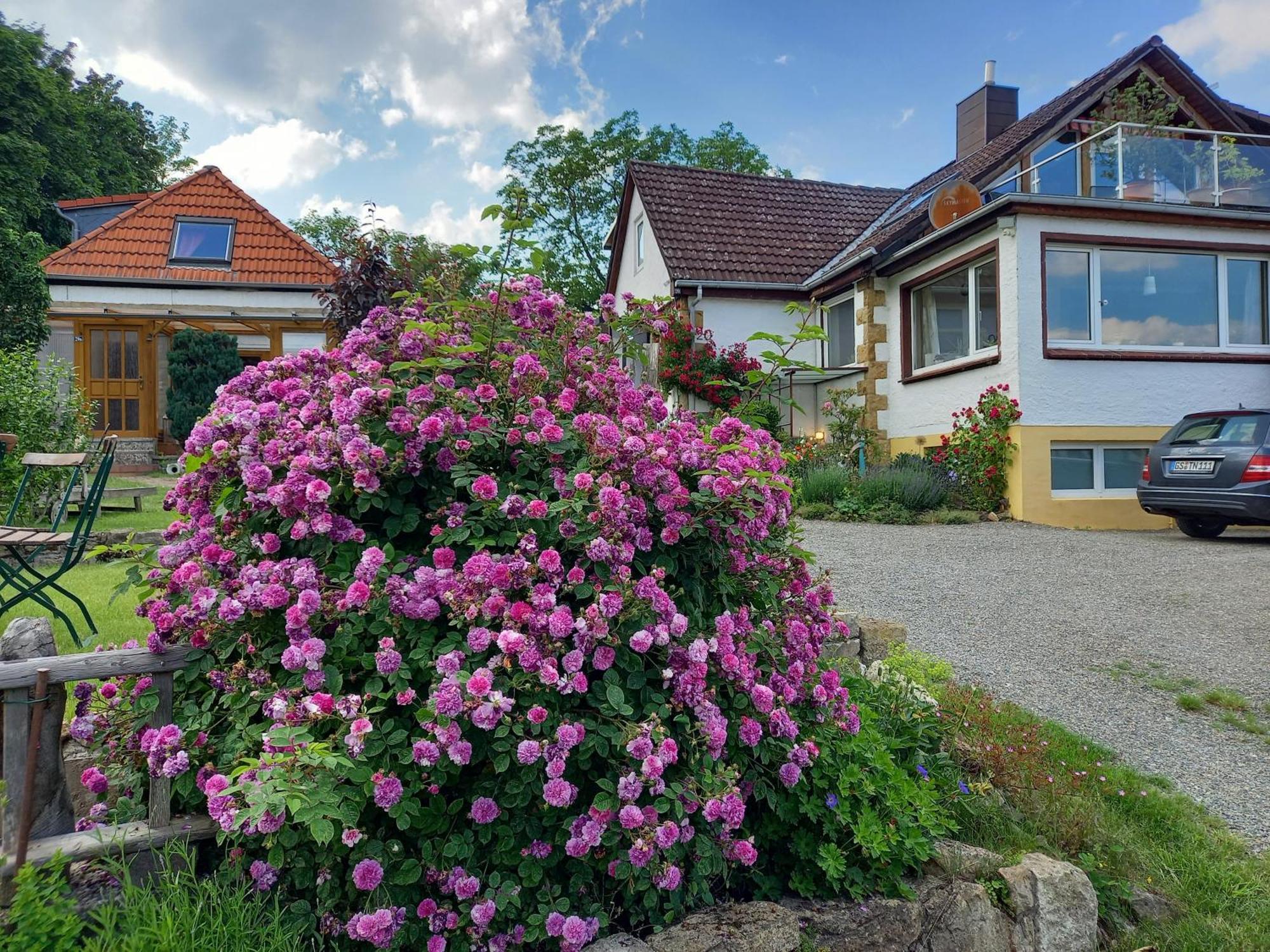 Elfenhaeuschen Mit 3 Dtv Sternen Ausgezeichnet Villa Bad Harzburg Exterior foto